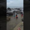 Pemilik Vila di Pantai Cikakak Masih Misterius, Pengerukan Sempadan Pantai Dikecam