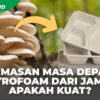 Jamur Pemakan Plastik: Harapan Baru Atasi Sampah Plastik?