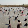 Suasana Meriah Ngagogo Ikan di Sumedang, Ribuan Warga Berebut Ikan