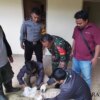 Teror Hewan Buas di Cikidang Sukabumi: Delapan Kambing Mati Ditelanjangi, Diduga Macan Tutul Berulah