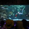 Ancol Merugi? Laba PJAA Terjun Bebas di Semester Pertama