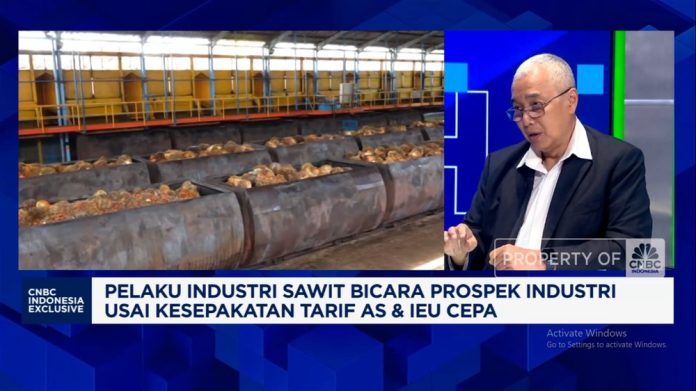 Industri Sawit Indonesia Terjebak Regulasi Rumit? Ini Kata Bos SMAR