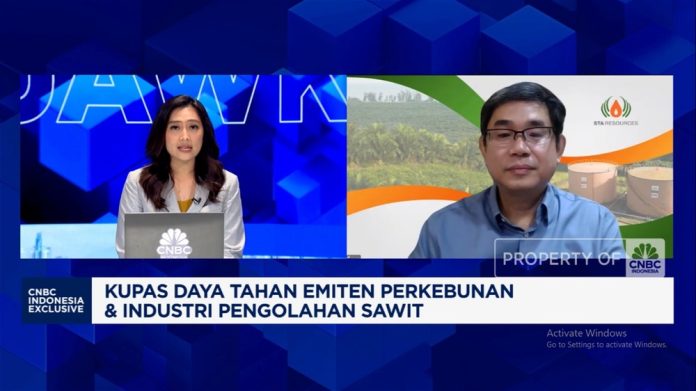 Rahasia Panen Melimpah Pengusaha Sawit Terungkap, Cuma Pakai Pupuk Begini?