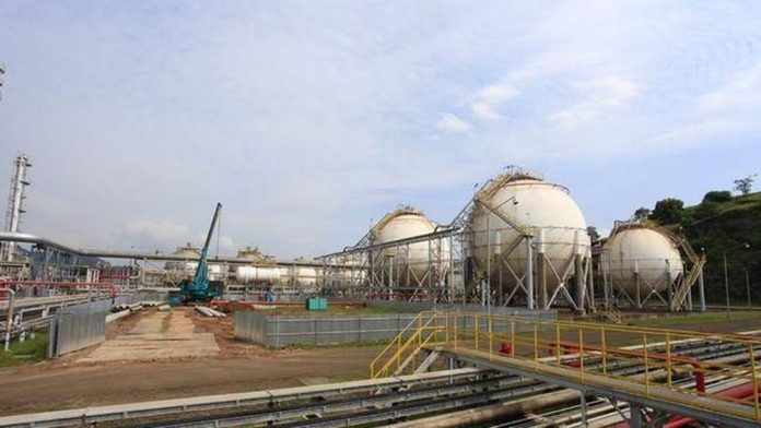 Prajogo Pangestu Bantah Kabar Akuisisi Hotel Alila, Ada Apa?