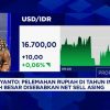 Rupiah Terkapar di Level Rp16.700, Ada Apa dengan Bank Raksasa?