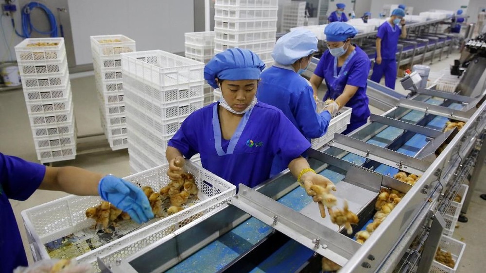 Ekonomi China di Ujung Tanduk? Tiga Masalah Ini Jadi Sorotan Utama