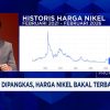 Kejutan Industri Nikel Kuota Produksi Dipangkas Drastis Pengusaha Menjerit