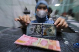 Terbongkar Tiga Jurus Habibie Jinakkan Dolar