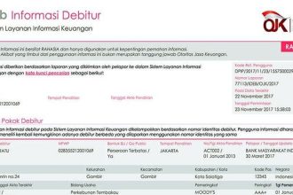 Lupakan BI Checking Ini Cara Baru Pantau Riwayat Kredit Anda