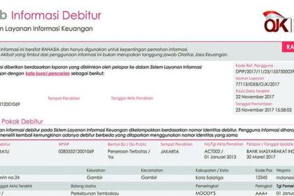 Lupakan BI Checking Ini Cara Baru Pantau Riwayat Kredit Anda