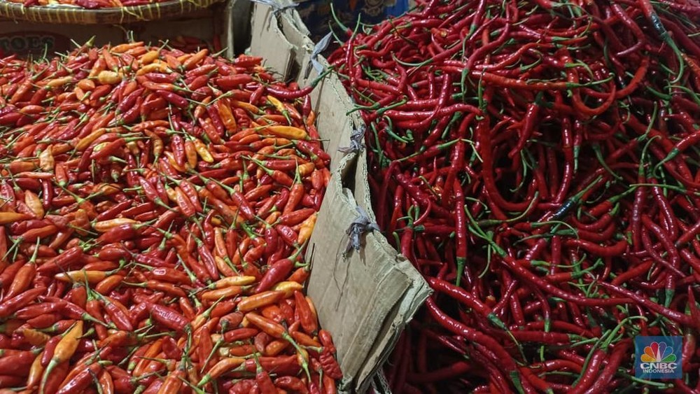 Harga Cabai Melambung Setara Daging Sapi